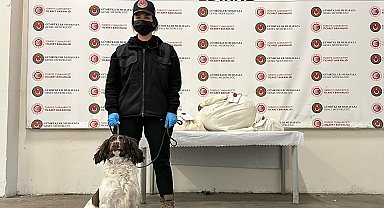 Kapıkule'de otomobildeki uyuşturucuyu 'Jeff' buldu