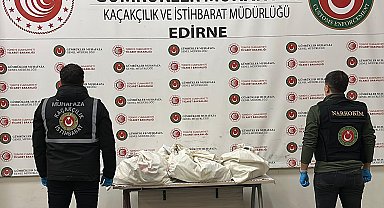 Kapıkule'de TIR'da 67 kilo uyuşturucu ele geçirildi