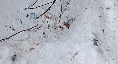 Kar motoruyla kaza yaptı; gömüldüğü kardan orman işçileri kurtardı