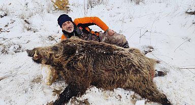 Karaman'da tarım arazilerine zarar veren yaban domuzları için sürek avı