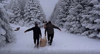 Karla kaplı Uludağ'da yaban hayvanları için yem bırakıldı