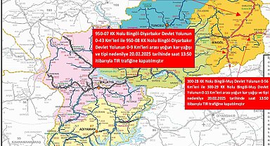 Karlıova'da kar kalınlığı 60 santimi buldu