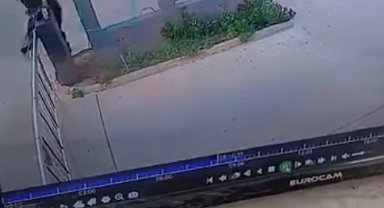 Köpeklerden kaçarken bariyere çarpıp düştü; o anlar kamerada