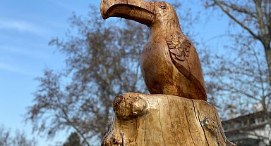 Kuruyan ağaçları sökmeden, yerinde heykele dönüştürüyor