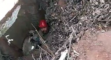 Kuyuya düşen 3 yavru köpeği itfaiye kurtardı