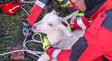 Kuyuya düşen keçiyi itfaiye kurtardı