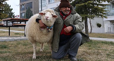 Kuzuyken aldı, 4 yıldır yanından ayrılmıyor