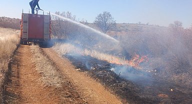 Mardin'de örtü yangını