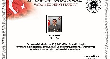 MSB: Suriye'nin kuzeyinde 1 asker şehit oldu