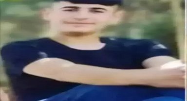 Narin Güran cinayeti; ağabeyi Enes Güran'ın avukatından istinaf başvurusu