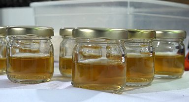 Odun külü sirkesiyle kedi kumuna doğal hijyen