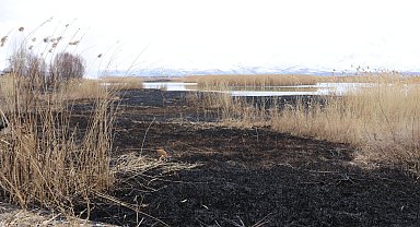 Onlarca kuş türüne ev sahipliği yapan Dilkaya Sazlığı'nda yangın