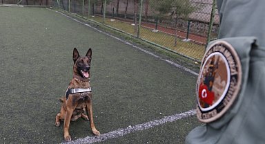 Sahibinin yurt dışına çıkarken verdiği 'Risko' narkotik köpeği oldu, operasyonlarda tonlarca uyuşturucu ele geçirildi