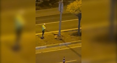 Şanlıurfa'da otomobilin çarptığı yaya öldü