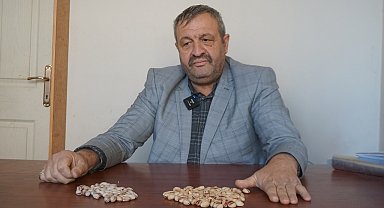 Siirt Fıstık Üreticileri Birliği'nden 'kaçak İran fıstığı' uyarısı