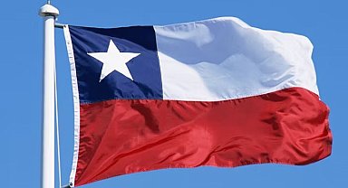 Şili'de orman yangınları nedeniyle olağanüstü hal ilan edildi