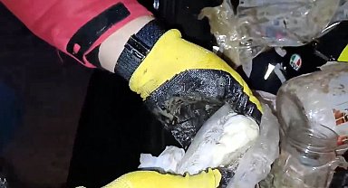 Sinop merkezli 3 ilde suç örgütü operasyonu: 11 tutuklama