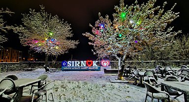 Şırnak'ta kar nedeniyle 19 köy yolu ulaşıma kapandı