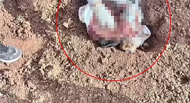 Şırnak'ta, poşet içerisinde yeni doğmuş kız bebek cesedi bulundu