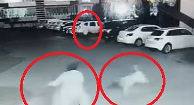 Siteye giren sokak köpeği, anne ve çocuğuna saldırdı; olay kamerada