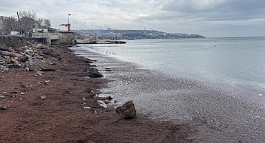 Tekirdağ sahili kırmızı yosunla kaplandı