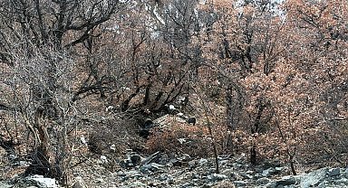 Tokat'ta otomobil 400 metrelik uçuruma yuvarlandı: 4 yaralı