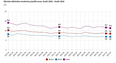 TÜİK: Aralık ayında işsizlik oranı yüzde 8,5 oldu