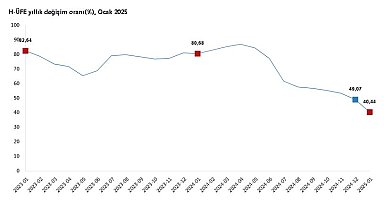 TÜİK: Hizmet üretici fiyatları ocakta arttı