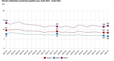 TÜİK: İşsizlik oranı ocakta yüzde 8,4'e geriledi