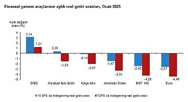 TÜİK: Ocakta en yüksek reel getiri sağlayan yatırım aracı DİBS oldu