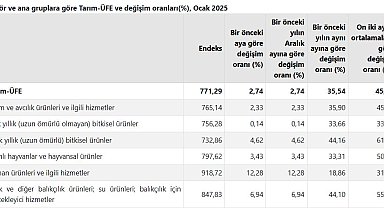 TÜİK: Tarım üretici fiyatları ocakta arttı
