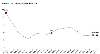 TÜİK: Tarımsal girdi fiyatları aralıkta arttı