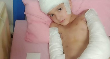 Tunahan'ın köpek saldırısında yaralanmasına ilişkin belediye yetkililerine dava