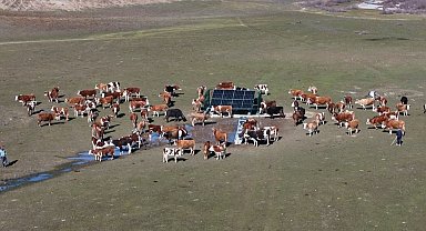 Valinin 'serçe parmak' örneği projeye dönüştü; 25 köyde güneş enerjisiyle hayvanlara can suyu sağlandı