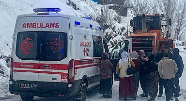 Van'da 264 yerleşim yeri ulaşıma kapandı