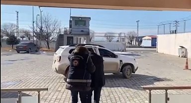 Van'da göçmen kaçakçılığı operasyonu; 6 gözaltı