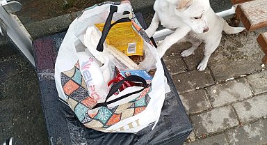 Yavru köpeği, 'sahiplenin' notuyla sokağa terk ettiler