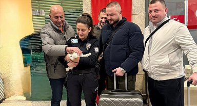 Yurt dışına çıkan sahibinin, otoparktaki aracında kilitli bıraktığı kedi kurtarıldı