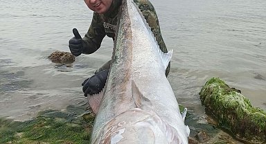 Zıpkınla 1,8 metrelik akya balığı avladı