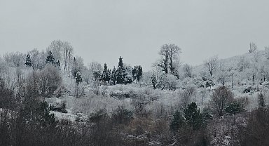 Zonguldak'ın yüksek kesimlerinde kar yağışı