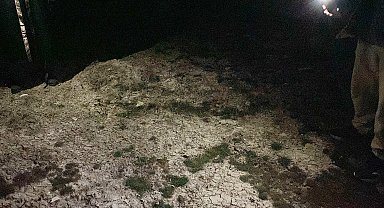 2 yaşındaki Rana, sokak köpeklerinin saldırısında öldü