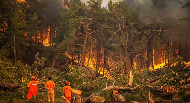 2024'te ihmal, dikkatsizlik, kasıt ve kazadan 1956 orman yangını çıktı