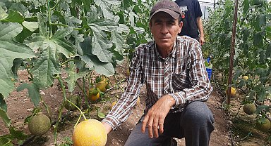 'Bu mevsimde olmaz' diyenlere aldırmadı, kışın serada kavun yetiştirdi