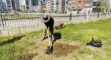 'Doğa' için köpeğiyle Türkiye'yi gezen Seyyah Ömer, Osmaniye'de fidan dikti