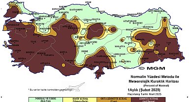 4 bölgede 'şiddetli kuraklık' tehlikesi