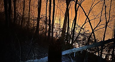 ABD'nin Kuzey Carolina eyaletindeki yangınlar nedeniyle tahliye emri verildi