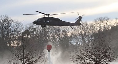 ABD'nin Kuzey ve Güney Carolina eyaletlerindeki orman yangınlarına müdahale ediliyor