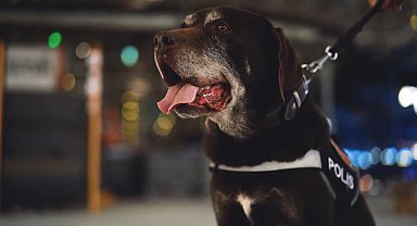 Ankara Emniyeti'nin 11 yıllık narkotik köpeği 'Toma', emekli oldu