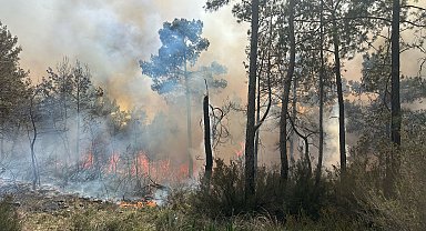 Antalya'da orman yangını