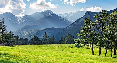 Araştırma: Doğa belgeselleri ağrıyı hafifletebilir